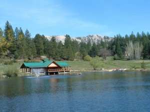 camp-okizu Camp Okizu