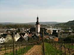 vineyards_sm Beautiful Towns