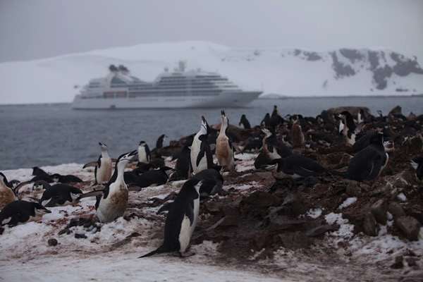 IMG_3591 1.jpg IMG 3591 1