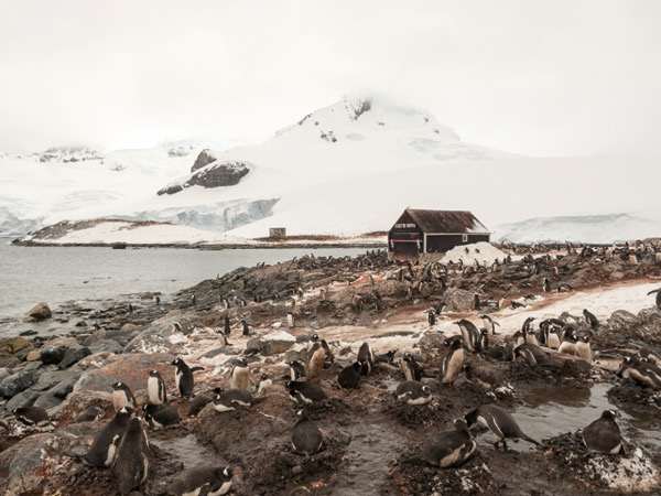 P1170971 1.jpg P1170971 1