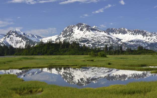 Alaska Summer Cruise