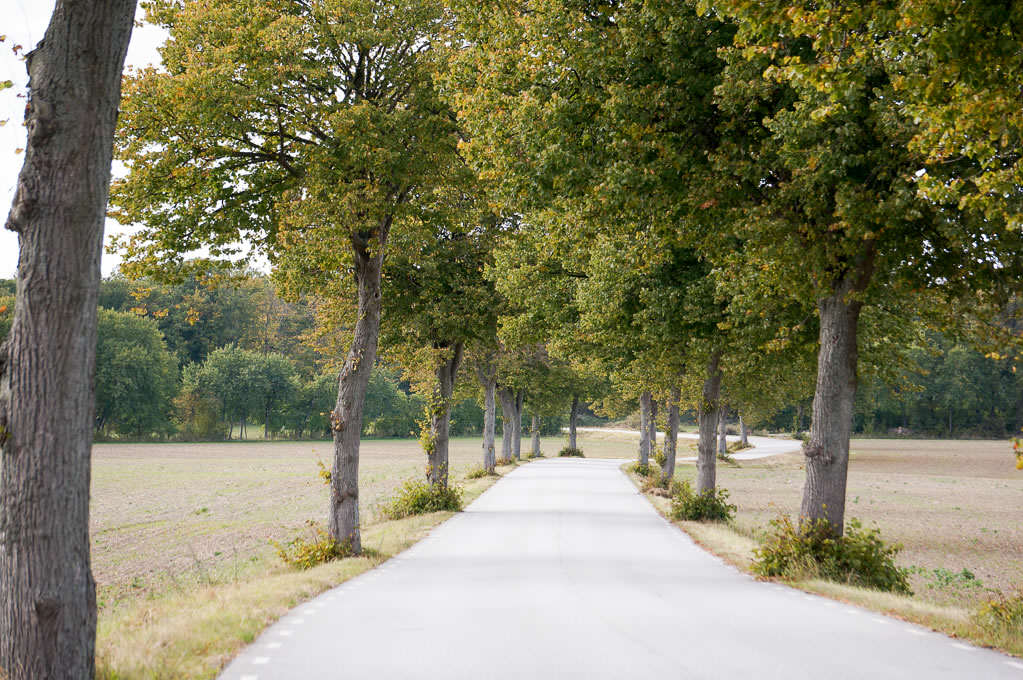 Enjoying smaller ports like Sweden