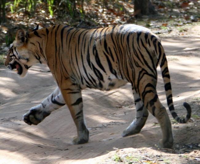 Why Bill and Mary continue to world cruise