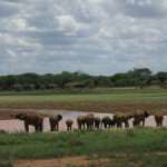 2009 Holland America World Cruise Review