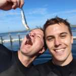 Swimming With The Tuna Where Great White Sharks Lurk On A Silversea Shore Excursion