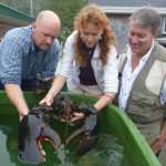 Looking For Something New? Cruising Atlantic Canada, Easy Access From New York And Boston