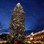 River Cruising Through Christmas