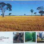 Host Notes from the Grand Pacific and Far East Voyage