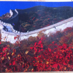 Postcards from abroad: Grand Pacific and Far East Voyage