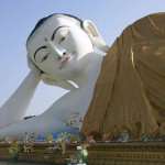 Cruise Specialists Reveals Top Trends In Land Tours for Globe-Trotting World Cruisers