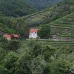 AmaWaterways and BackRoads Adventure Partnership