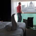 River Cruising with Scenic Tours – An in depth look