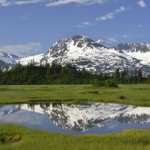 Your Alaska Questions Answered