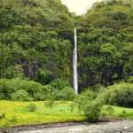 Tales of the South Pacific Cruise with Host Tom Mullen