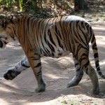 Travel Insider: Bill and Mary Ann Barry