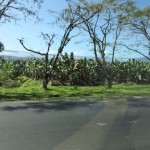 Cruising Close to Home