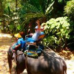 Why Take a World Cruise? Besides the Non-Stop Adventure?