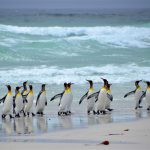 Viking Sun Will Host Viking’s 2020-2021 World Cruise