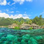 To Serenity and Beyond: Explore the Many Wonders of the South Pacific