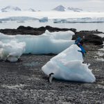 Why Visit Antarctica? Let Us Show You