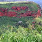 New Hawaiian Port with Seabourn
