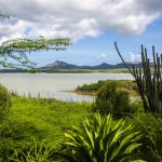 The Caribbean is Open for Business: Experience These Dynamic Ports