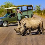 2018 Grand World Voyage – Mozambique