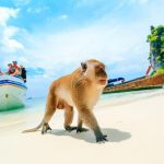2018 Grand World Voyage: Thailand and Sri Lanka
