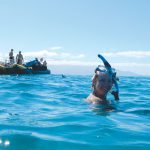 UnCruise Adventures — Small Ships, Big Adventures