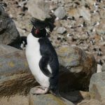 Antarctica: Like Being on Another Planet