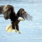 Port Spotlight: Sitka, Alaska