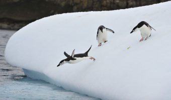 South America & Antarctica cruise