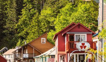 town with boardwalk and evergreens