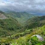 2023 Holland America Grand World Voyage – 2nd Update